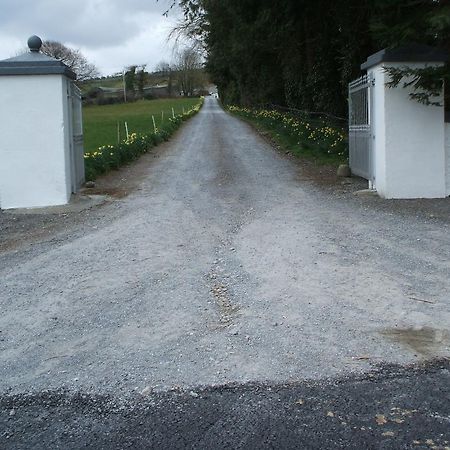 Grove Farm House Inistioge Zewnętrze zdjęcie